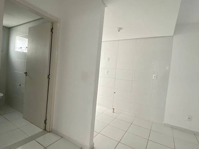 Apartamento para Locação em Camboriú - 4