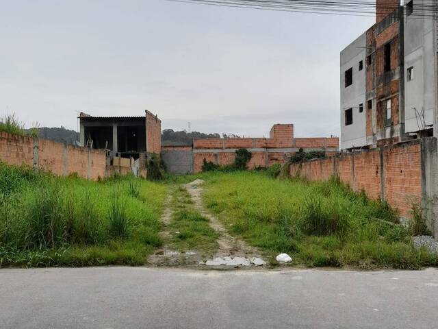 Terreno para Venda em Camboriú - 4