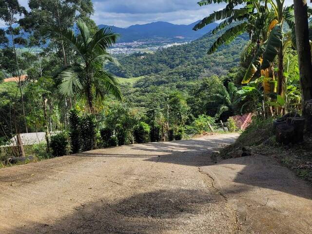 #1463 - Sítio para Venda em Balneário Camboriú - SC - 3